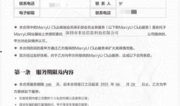 王先生深圳最新爆料,揭秘深圳最新动态与热点事件